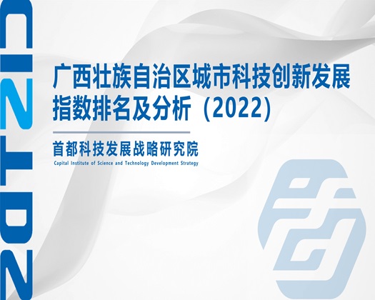 鸡巴操大逼【成果发布】广西壮族自治区城市科技创新发展指数排名及分析（2022）